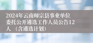 2024年云南师宗县事业单位委托公开遴选工作人员公告12人 （含遴选计划）