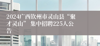 2024广西钦州市灵山县“聚才灵山” 集中招聘225人公告