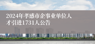 2024年孝感市企事业单位人才引进1731人公告