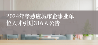 2024年孝感应城市企事业单位人才引进316人公告