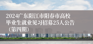 2024广东阳江市阳春市高校毕业生就业见习招募25人公告（第四期）