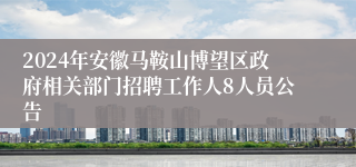 2024年安徽马鞍山博望区政府相关部门招聘工作人8人员公告