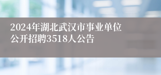 2024年湖北武汉市事业单位公开招聘3518人公告