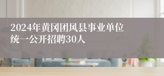2024年黄冈团风县事业单位统一公开招聘30人