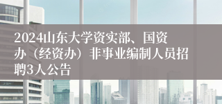 2024山东大学资实部、国资办（经资办）非事业编制人员招聘3人公告