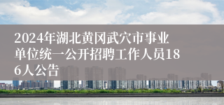 2024年湖北黄冈武穴市事业单位统一公开招聘工作人员186人公告 