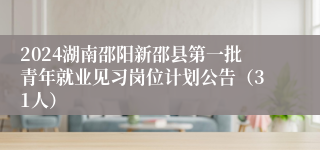 2024湖南邵阳新邵县第一批青年就业见习岗位计划公告（31人）