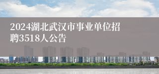 2024湖北武汉市事业单位招聘3518人公告