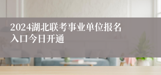 2024湖北联考事业单位报名入口今日开通