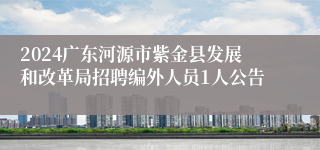 2024广东河源市紫金县发展和改革局招聘编外人员1人公告