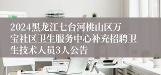 2024黑龙江七台河桃山区万宝社区卫生服务中心补充招聘卫生技术人员3人公告