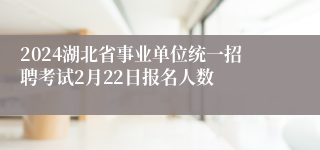 2024湖北省事业单位统一招聘考试2月22日报名人数