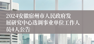 2024安徽宿州市人民政府发展研究中心选调事业单位工作人员4人公告