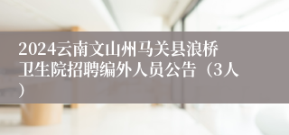 2024云南文山州马关县浪桥卫生院招聘编外人员公告（3人）