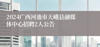 2024广西河池市天峨县融媒体中心招聘2人公告