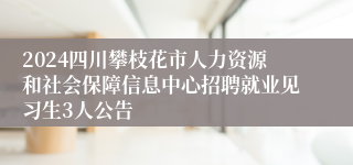 2024四川攀枝花市人力资源和社会保障信息中心招聘就业见习生3人公告