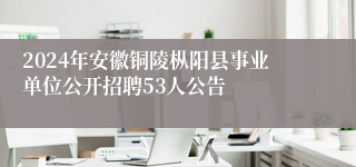 2024年安徽铜陵枞阳县事业单位公开招聘53人公告