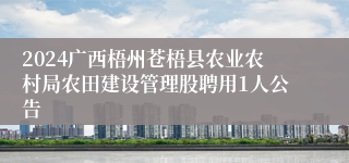 2024广西梧州苍梧县农业农村局农田建设管理股聘用1人公告