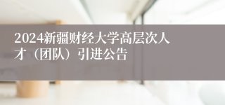 2024新疆财经大学高层次人才（团队）引进公告