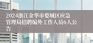 2024浙江金华市婺城区应急管理局招聘编外工作人员6人公告