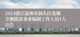 2024浙江温州市洞头区选调全额拨款事业编制工作人员1人公告