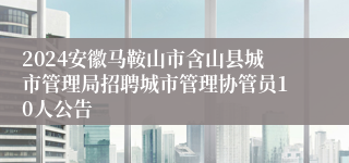 2024安徽马鞍山市含山县城市管理局招聘城市管理协管员10人公告