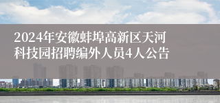 2024年安徽蚌埠高新区天河科技园招聘编外人员4人公告