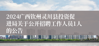 2024广西钦州灵川县投资促进局关于公开招聘工作人员1人的公告 