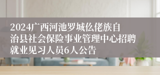 2024广西河池罗城仫佬族自治县社会保险事业管理中心招聘就业见习人员6人公告