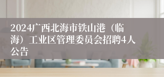 2024广西北海市铁山港（临海）工业区管理委员会招聘4人公告