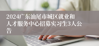 2024广东汕尾市城区就业和人才服务中心招募实习生3人公告