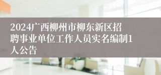 2024广西柳州市柳东新区招聘事业单位工作人员实名编制1人公告