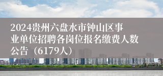 2024贵州六盘水市钟山区事业单位招聘各岗位报名缴费人数公告（6179人）