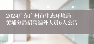 2024广东广州市生态环境局黄埔分局招聘编外人员6人公告