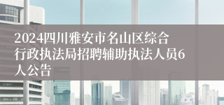 2024四川雅安市名山区综合行政执法局招聘辅助执法人员6人公告