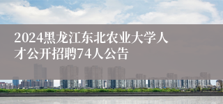 2024黑龙江东北农业大学人才公开招聘74人公告