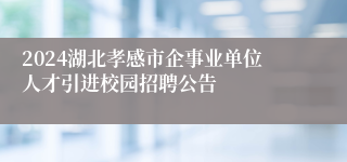 2024湖北孝感市企事业单位人才引进校园招聘公告