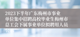 2023下半年广东梅州市事业单位集中招聘高校毕业生梅州市总工会下属事业单位拟聘用人员公示