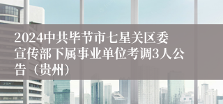 2024中共毕节市七星关区委宣传部下属事业单位考调3人公告（贵州）