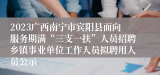 2023广西南宁市宾阳县面向服务期满“三支一扶”人员招聘乡镇事业单位工作人员拟聘用人员公示