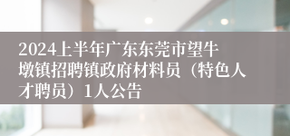 2024上半年广东东莞市望牛墩镇招聘镇政府材料员（特色人才聘员）1人公告