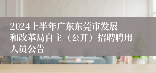 2024上半年广东东莞市发展和改革局自主（公开）招聘聘用人员公告