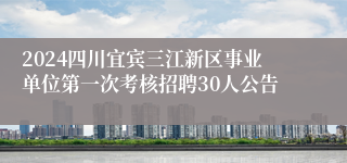 2024四川宜宾三江新区事业单位第一次考核招聘30人公告