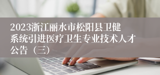 2023浙江丽水市松阳县卫健系统引进医疗卫生专业技术人才公告（三） 