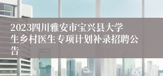 2023四川雅安市宝兴县大学生乡村医生专项计划补录招聘公告