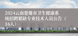 2024云南楚雄市卫生健康系统招聘紧缺专业技术人员公告（16人）