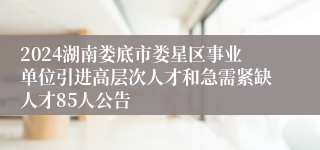 2024湖南娄底市娄星区事业单位引进高层次人才和急需紧缺人才85人公告