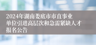 2024年湖南娄底市市直事业单位引进高层次和急需紧缺人才报名公告