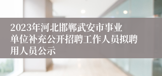 2023年河北邯郸武安市事业单位补充公开招聘工作人员拟聘用人员公示