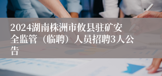 2024湖南株洲市攸县驻矿安全监管（临聘）人员招聘3人公告